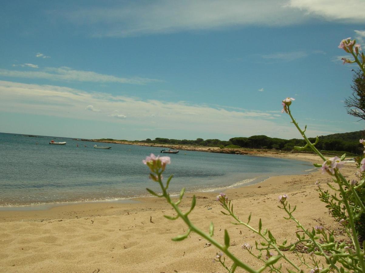 La Culla Del Mare Βίλα Budoni Εξωτερικό φωτογραφία